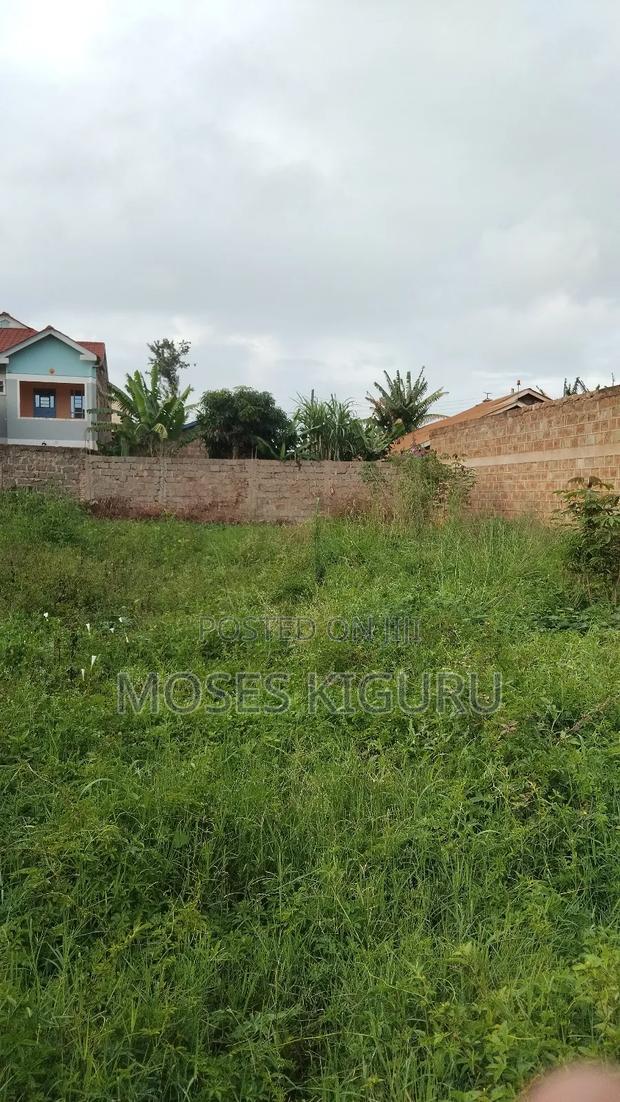 Thika Nanasi Estate 40x80 Plots.