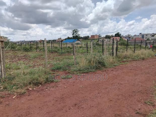 Tola, 50x100 Plots.