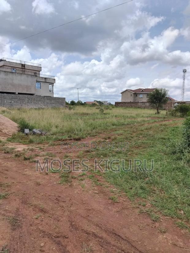 Tola, 50x100 Plots.