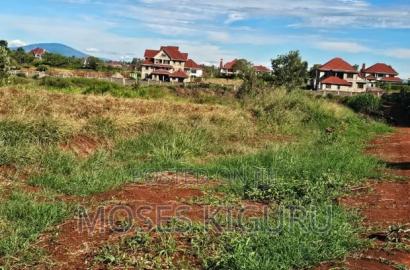 Thika Greens 1/4 Plots.