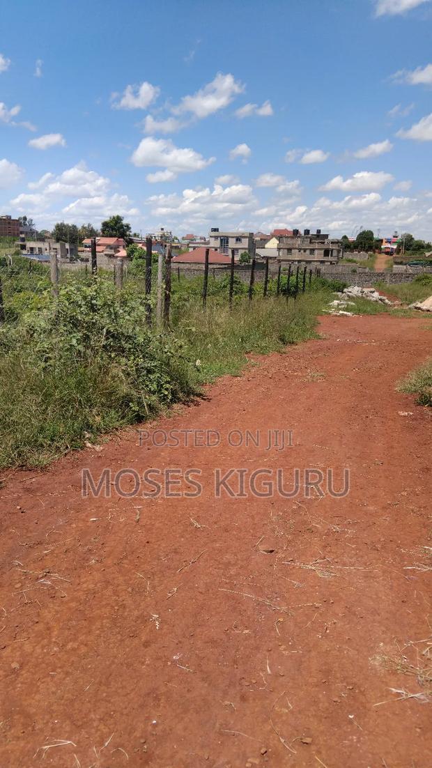 Tola, 50x100 Plots.