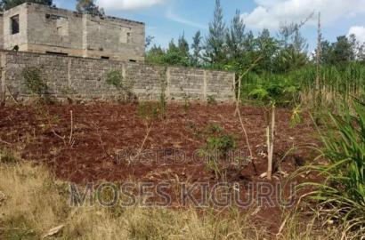 Karibaribi, 50x100 Plot.