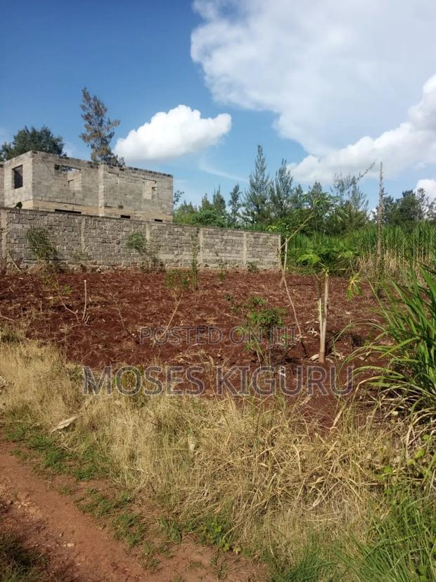 Karibaribi, 50x100 Plot.