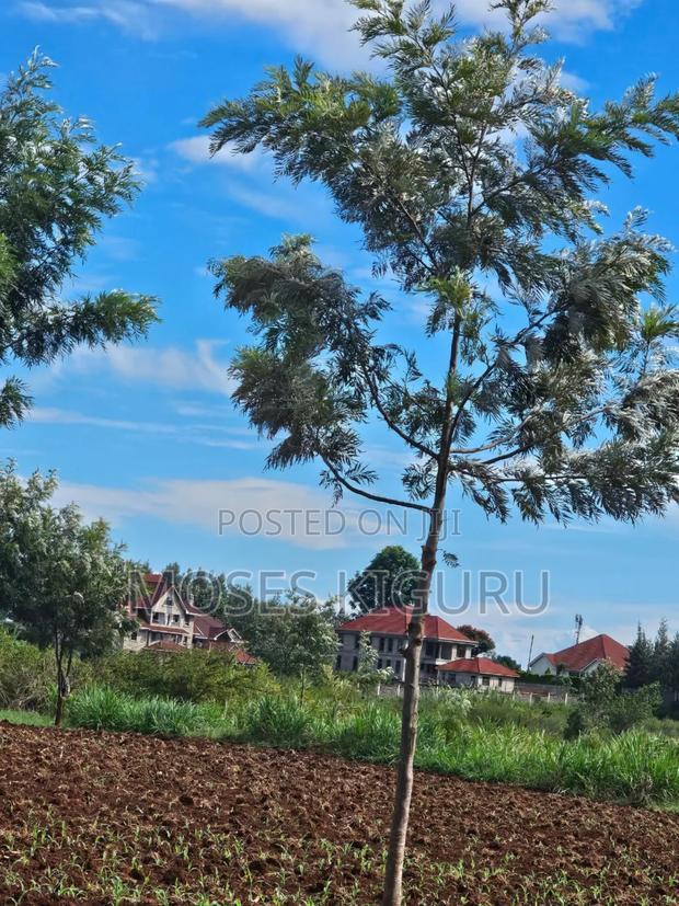 Thika Greens 1/4 Plots.