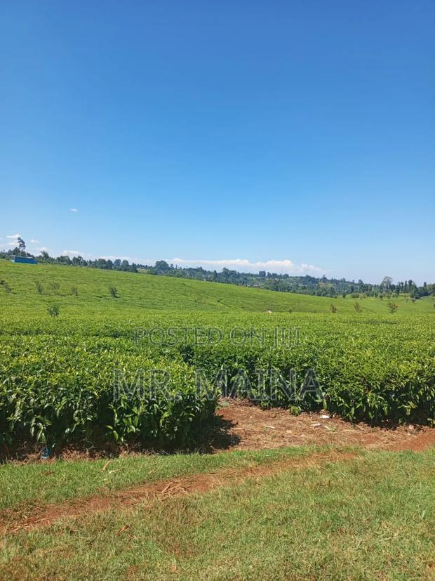 50 Acre Tea Farm in Ngorongo Kiambu