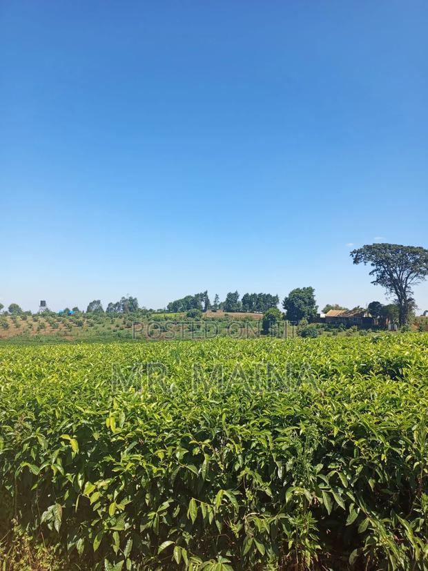50 Acre Tea Farm in Ngorongo Kiambu