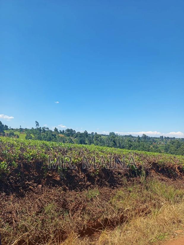 50 Acre Tea Farm in Ngorongo Kiambu