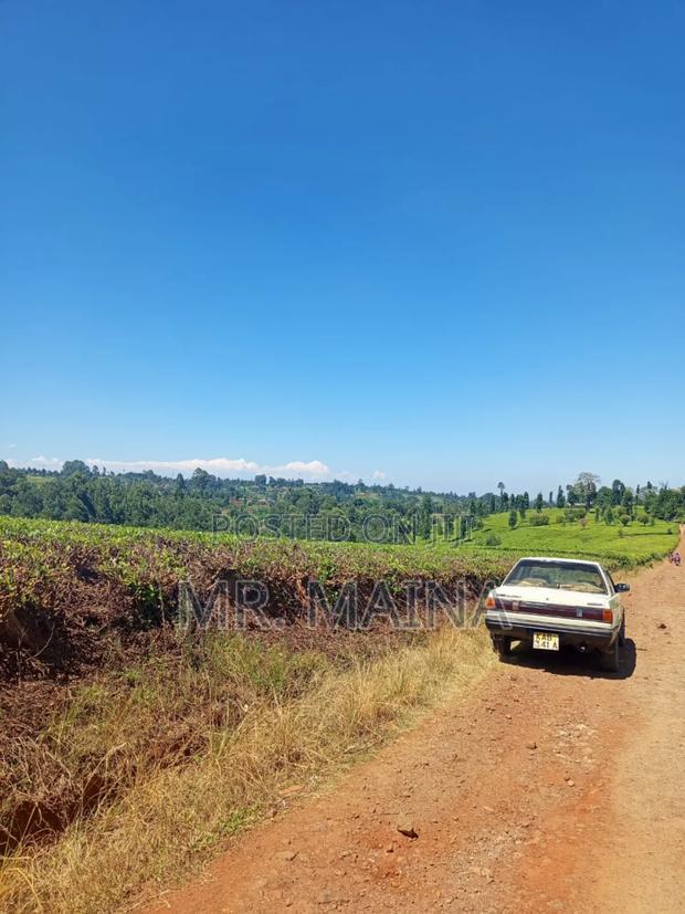 50 Acre Tea Farm in Ngorongo Kiambu