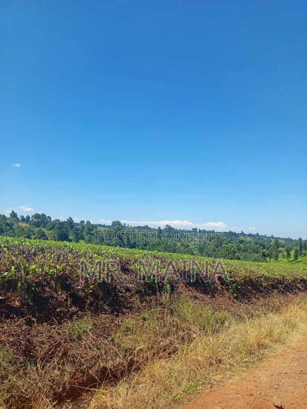 50 Acre Tea Farm in Ngorongo Kiambu