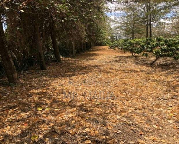Prime 1.25 Acres Ruiru Behind Zetech University
