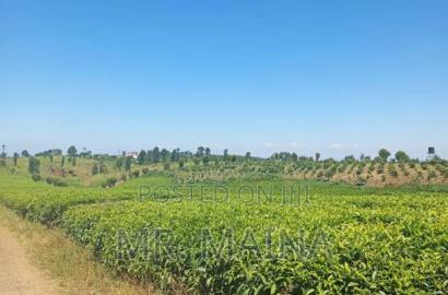50 Acre Tea Farm in Ngorongo Kiambu