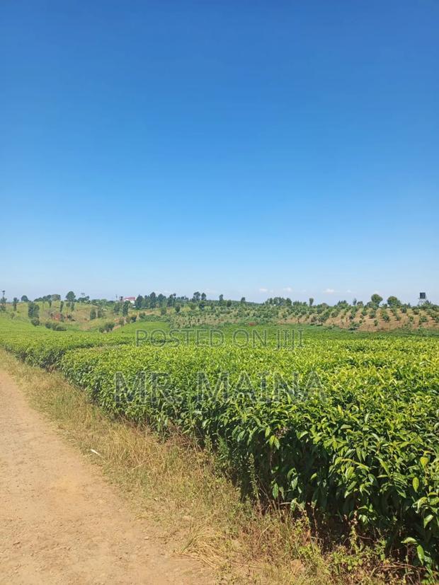 50 Acre Tea Farm in Ngorongo Kiambu