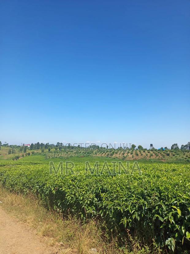 50 Acre Tea Farm in Ngorongo Kiambu