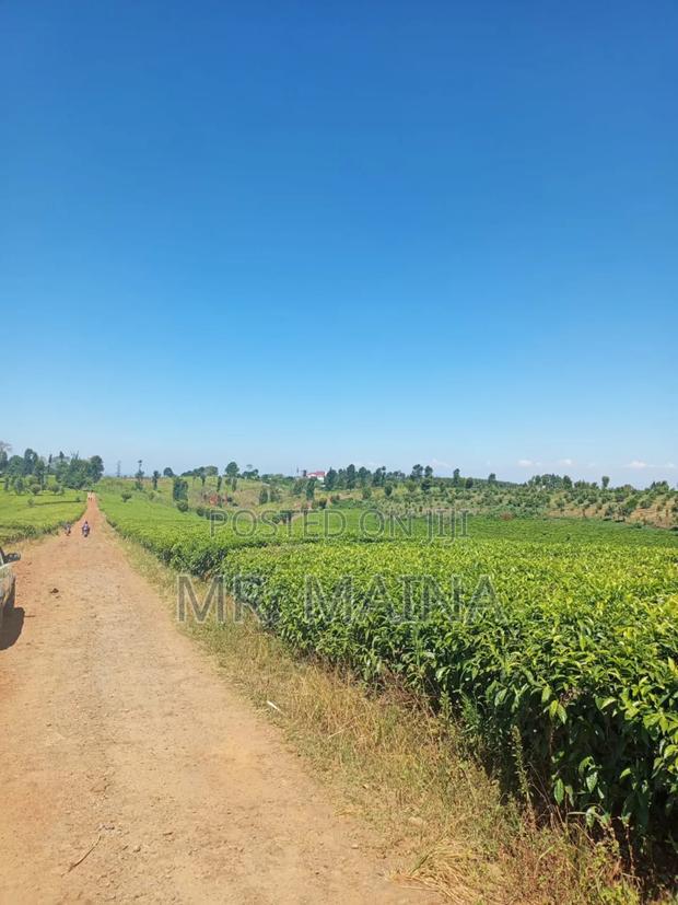 50 Acre Tea Farm in Ngorongo Kiambu