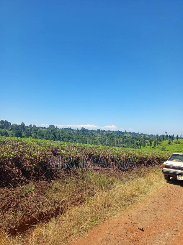 50 Acre Tea Farm in Ngorongo Kiambu