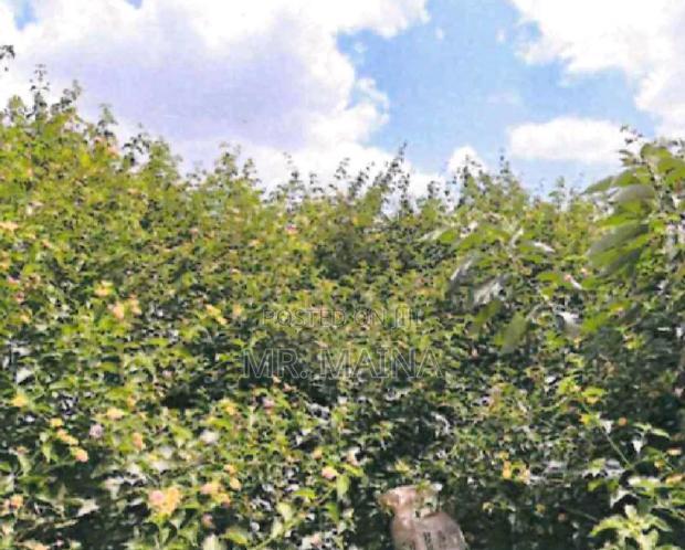 Prime 0.53 Acre's Vacant Property in Tatu City - Kiambu