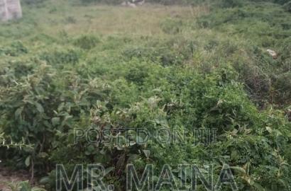 1 Acre for Sale in South C