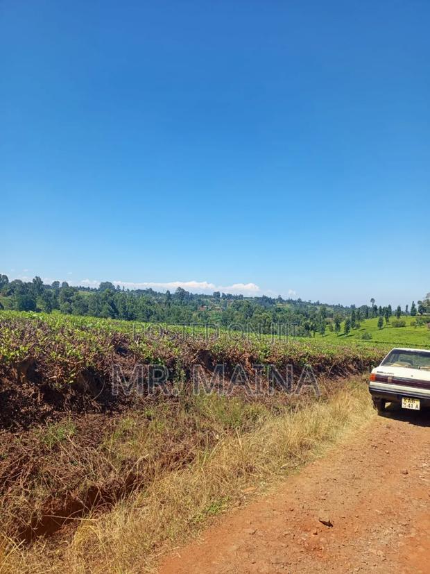 50 Acre Tea Farm in Ngorongo Kiambu