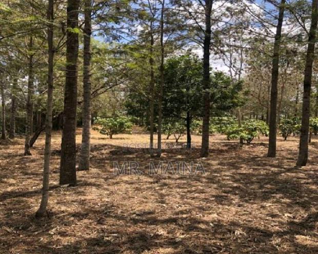 Prime 1.25 Acres Ruiru Behind Zetech University
