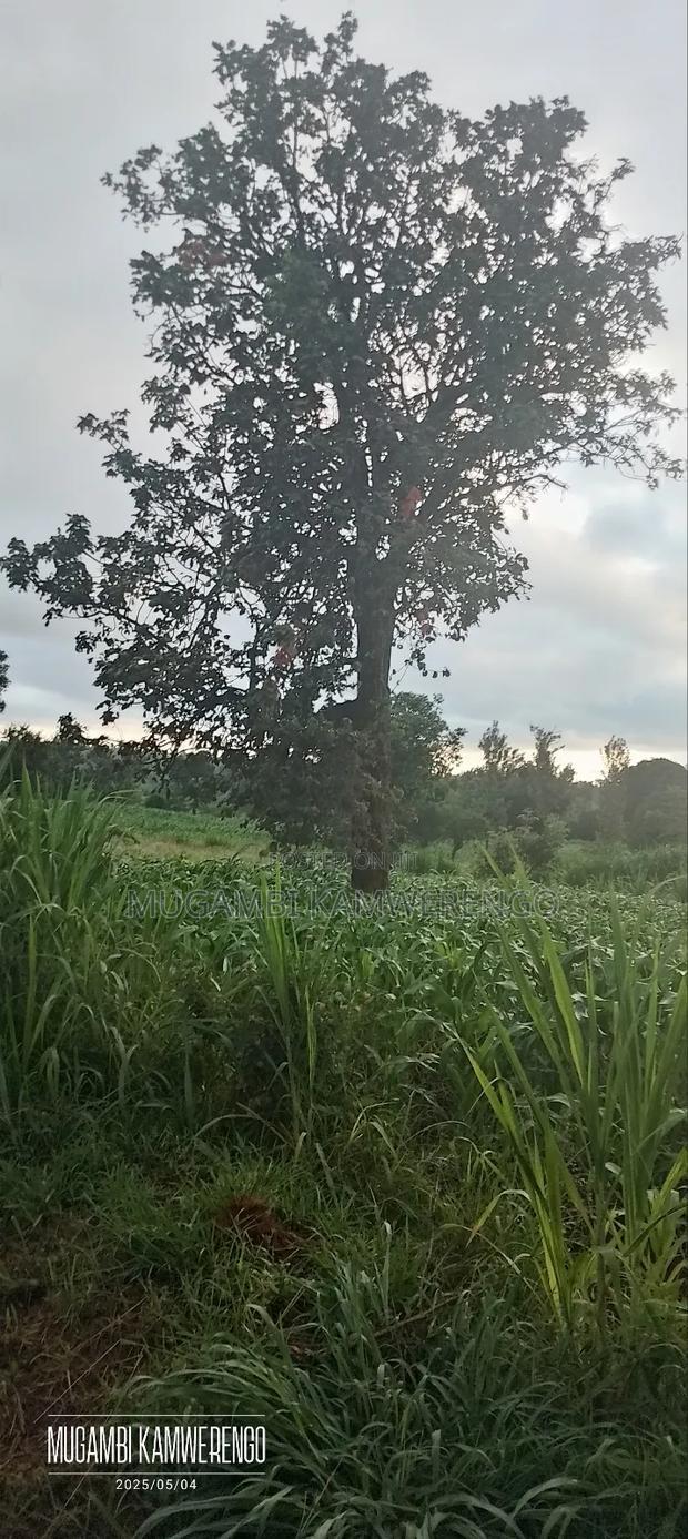 Ugweri 1acre