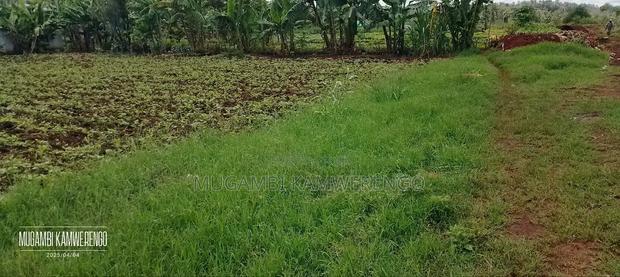 Kamiu 1/4 Acre