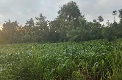Ugweri 1acre