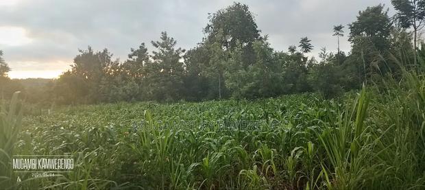 Ugweri 1acre