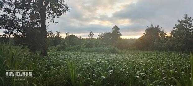 Ugweri 1acre