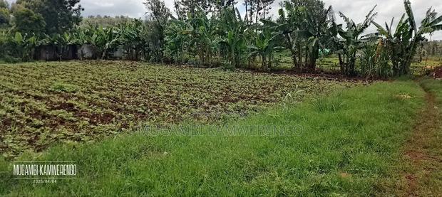 Kamiu 1/4 Acre