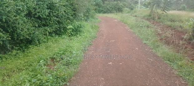 Kairungu Avocados and Muguka Shamba