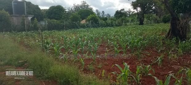 Gachoka 1/2 Acre
