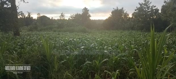 Ugweri 1acre