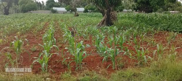 Gachoka 1/2 Acre