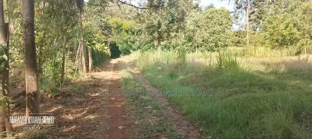 Kamuthatha Kithimu 1 3/4
