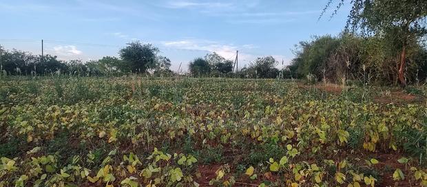 Embu County,Seven Folks 6.4arces Along Tarmac