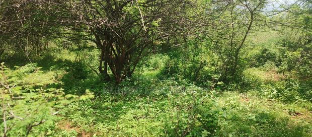 Embu County,Gitaru 10 Acres Agricultural Farmland