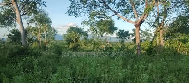 Embu County, Kiambere 5 Acres Agricultural Farmland