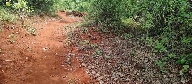 Embu County, Mariari 4.2 Acres Agricultural Farmland