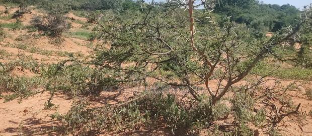 Embu, Mutuobare,1 Acre on Sale Near Tarmac Road Center.