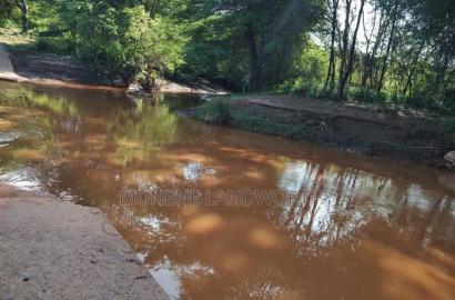 Embu, Kiambere Grazing Agricultural Land Next to the River