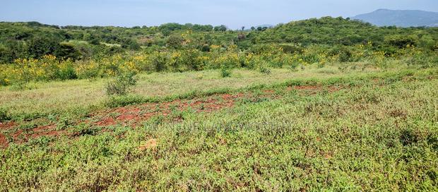 Embu , Mariari 5.8 Acres Agricultural Farmland With River