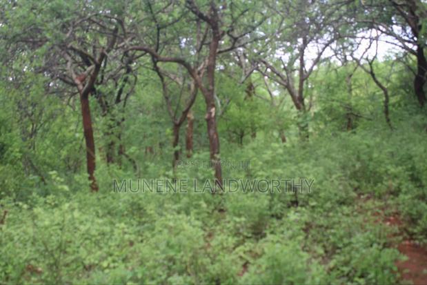 Embu , Mariari Kiambere 20 Agricultural Farmland