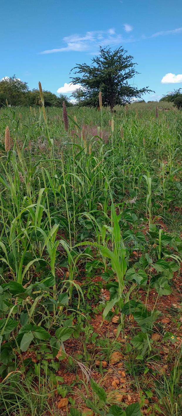 Embu County, Kiambere 10 Agricultural Farmland.