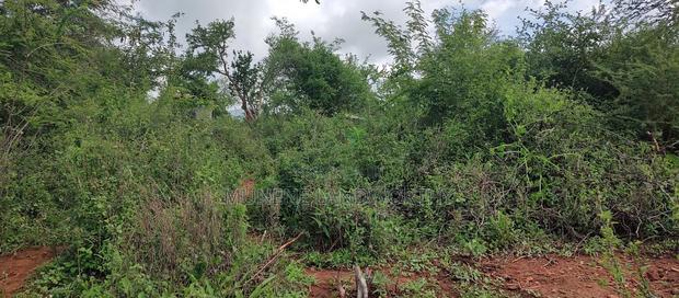 Embu , Mariari Kiambere 20 Agricultural Farmland