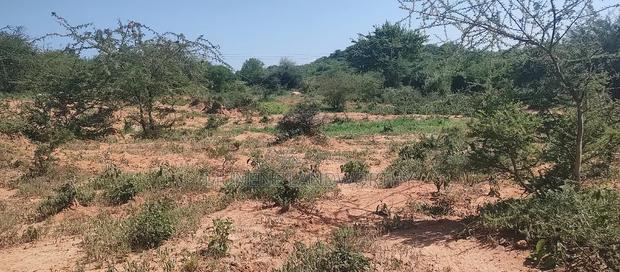 Embu, Mutuobare,1 Acre on Sale Near Tarmac Road Center.