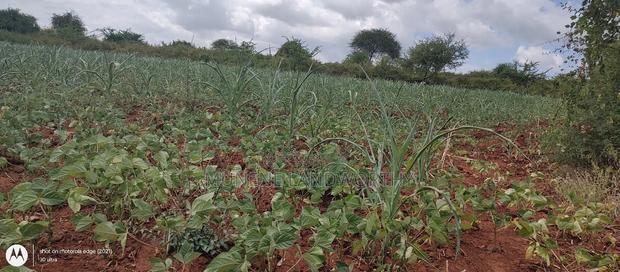 Embu County,Riachina Mbeere 2 Acres Agricultural Farm.