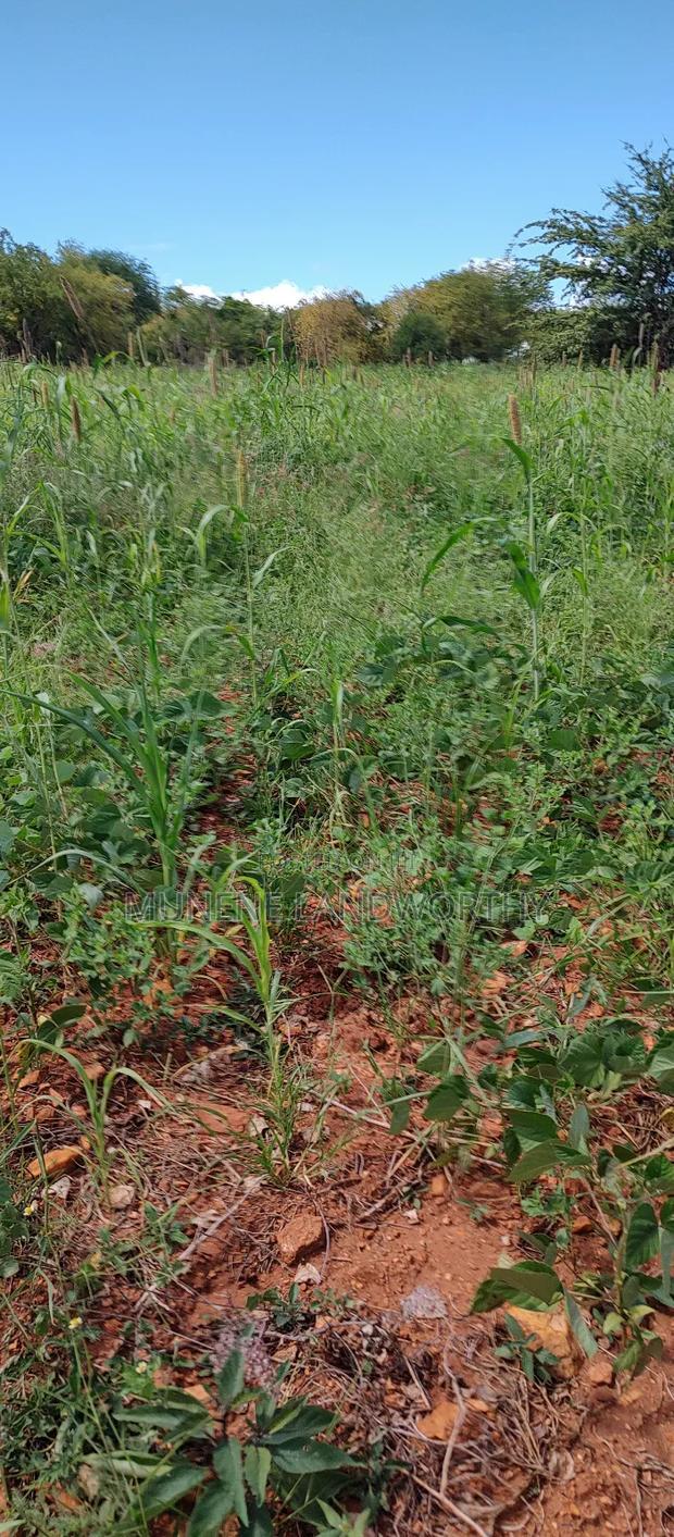 Embu County, Kiambere 10 Agricultural Farmland.