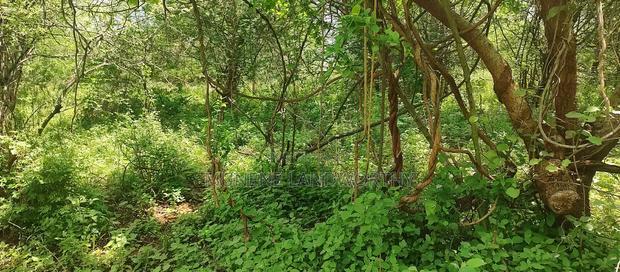 Embu County,Gitaru 10 Acres Agricultural Farmland