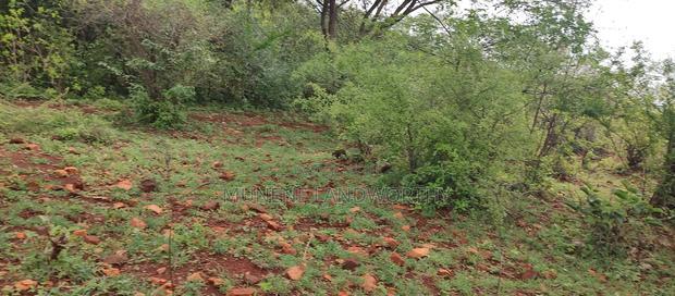 Embu,Mariari Agricultural Land Near the Road