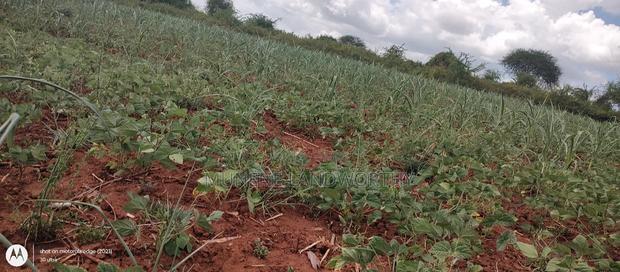 Embu County,Riachina Mbeere 2 Acres Agricultural Farm.